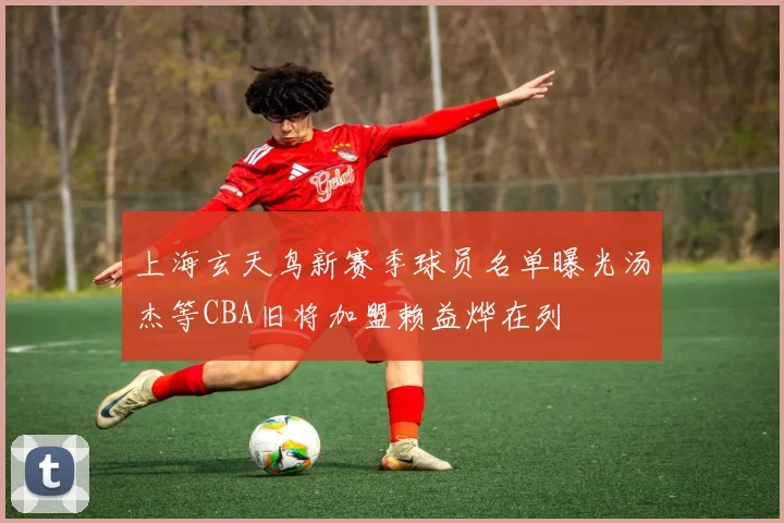 上海玄天鸟新赛季球员名单曝光汤杰等CBA旧将加盟赖益烨在列