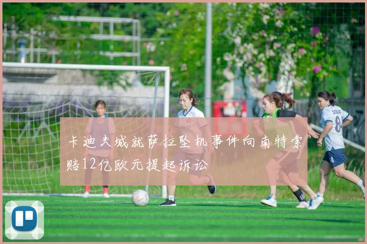 卡迪夫城就萨拉坠机事件向南特索赔12亿欧元提起诉讼