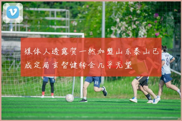 媒体人透露贺一然加盟山东泰山已成定局玄智健转会几乎无望