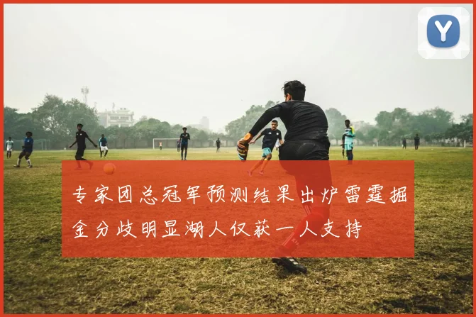 专家团总冠军预测结果出炉雷霆掘金分歧明显湖人仅获一人支持