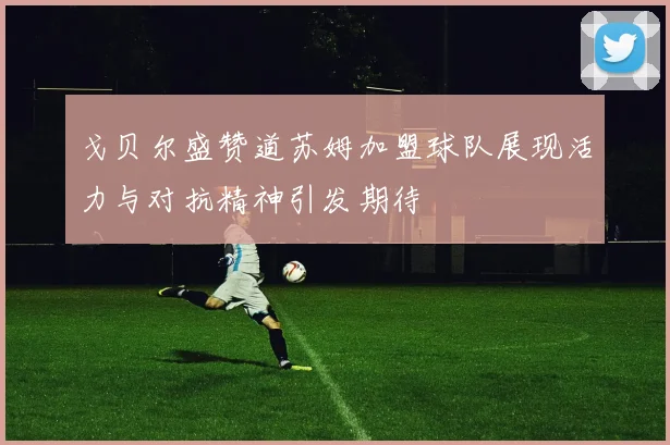 戈贝尔盛赞道苏姆加盟球队展现活力与对抗精神引发期待